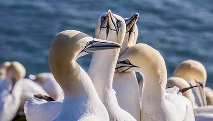 安宁最新的高价医保个人账户余额微信查询方法分享(安宁医保查询个人账户明细怎么查微信教程)