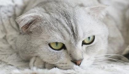 安宁最新的高价医保卡惠民保险代扣怎么取消掉了方法分享(安宁惠民医保怎么报销教程)